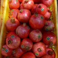 فروش محصول باغ انار|خوردنی و آشامیدنی|رحمتآباد, |دیوار