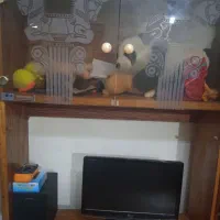 میز کامپیوتر چوب نراد|میز تحریر و کامپیوتر|رشت, کوی مهر|دیوار