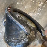 قیار و نعلبندی