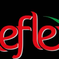 پت شاپ|لوازم جانبی حیوانات|رشت, کوی جام جم|دیوار