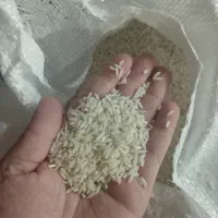 برنج|خوردنی و آشامیدنی|رشت, آب و برق|دیوار