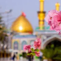 دهه دوم بعدعاشوراکربلا باقطار