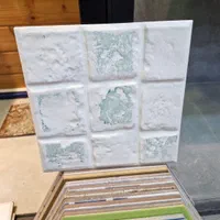 سرامیک کف سرویس و بام و پشت کابینت|مصالح و تجهیزات ساختمان|تهران, مجیدیه|دیوار