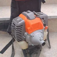 علف زن پشتی در حد نو