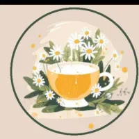 آموزش کسب درآمد در منزل استقلال مالی