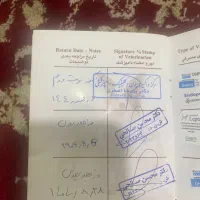 توله ژرمن شولاین بلک فیس موبلند|سگ|ساری, |دیوار