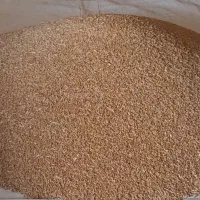 گندم|خوردنی و آشامیدنی|اندیمشک, |دیوار