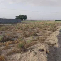 زمین-کشاورزی-علی-آباد