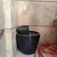 گل و گلدان
