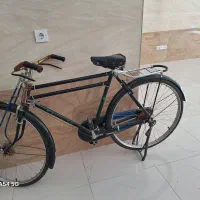 دوچرخه سه مار