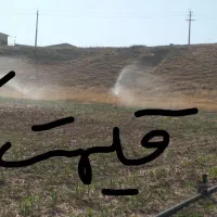 فروش فوری زمین کشاورزی آبی سد هاله