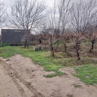 باغ شهری ۱۰۰۰متری|فروش زمین و ملک کلنگی|کوار, |دیوار