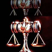 وکیل پایه یک دادگستری(خانم)