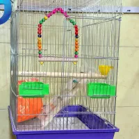 قفس کاسکویی بزرگ