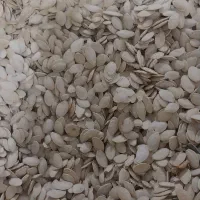 فروش خشک بار|خوردنی و آشامیدنی|رشت, منظریه|دیوار