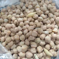 نخود ارگانیک با کیفیت