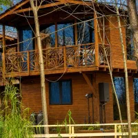 برای زندگی کردن هزینه کن