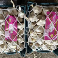 سیر خشک بسته بندی|خوردنی و آشامیدنی|تهران, امیریه|دیوار
