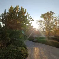 رهن و اجاره اپارتمان در بلوار معلم