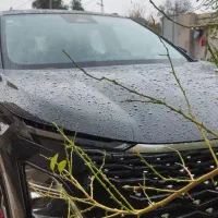 فونیکس دو دف تحویل روز