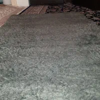 قالی طوسی