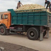 فروش اجر سه گل درجه یک مرودشت
