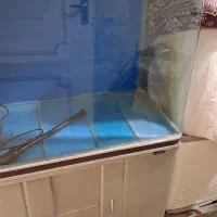 اکواریوم شرکتی شیشع ۸ میل