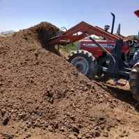 کودگاوی تمیز برای باغ وسبزی