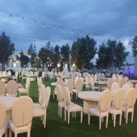 خانم منشی و حسابدار مجرد دفتر باغ تالار