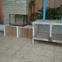 قفس.کبوتر.جفت کن  محکم و عمری