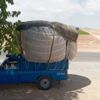 کاه لوبیا تحویل در محل