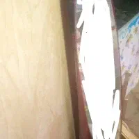 اینه قدی ایستاده بیضی