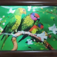 قاب عکس سه بعدی