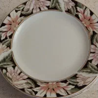 ۱۸ عدد بشقاب پلوخوری چینی مقصود +دیس بزرگ و کوچک
