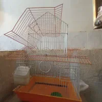 قفس پرنده