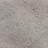 برنج دمسیاه