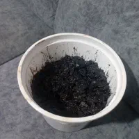 مومنایی اصل،داروی معجزه کننده دردها