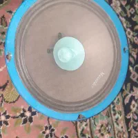 میدرنج فروشی