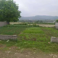 زمین شیرگاه ویو رو به دشت