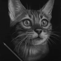 نقاشی|خدمات آموزشی|شیروان (خراسان), |دیوار