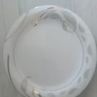 ظروف چینی