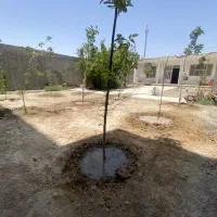 خانه باغچه ویلایی سند تکبرگ ۲۷۳ متر ماهدشت راشته|فروش خانه و ویلا|ماهدشت, |دیوار