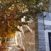 واگذاری رستوران باهمه وسایل