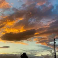 جویای کار ..