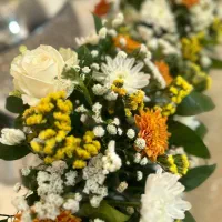 نیرو خدماتی آقا