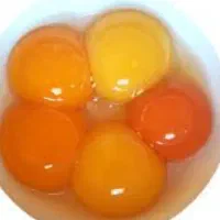 زرده تخم مرغ
