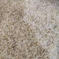 برنج کامفیروز اصل|خوردنی و آشامیدنی|بروجن, |دیوار