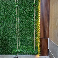 گارسون و ظرف شور