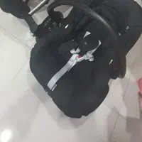 کریر مکسی کوزی