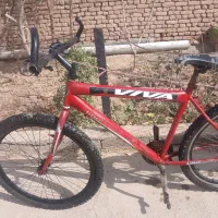 دوچرخه ۲۶|دوچرخه، اسکیت، اسکوتر|تربت جام, میان جام|دیوار